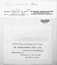 Image Associated With the Occurence